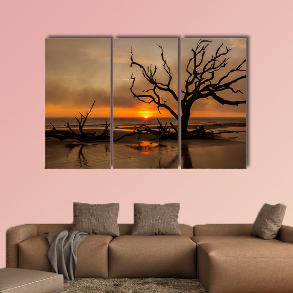  Driftwood and dead tree on an Atlantic Ocean beach wall art
