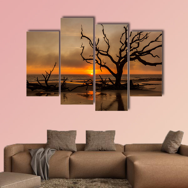  Driftwood and dead tree on an Atlantic Ocean beach wall art