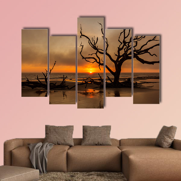  Driftwood and dead tree on an Atlantic Ocean beach wall art