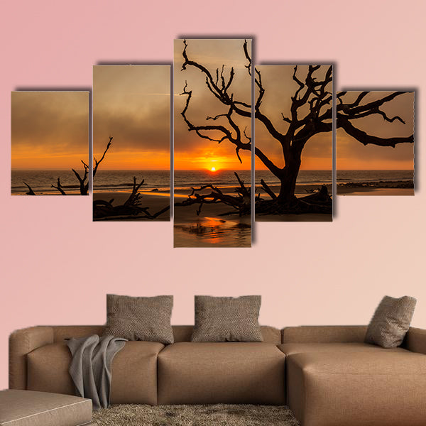  Driftwood and dead tree on an Atlantic Ocean beach wall art