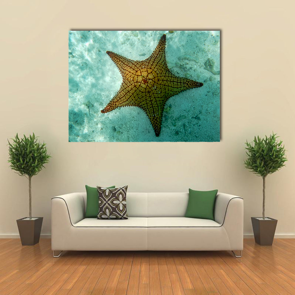 Snorkeling Art-An Isolated Big Starfish in Los Roques (Venezuela) Multi Panel Canvas Wall Art