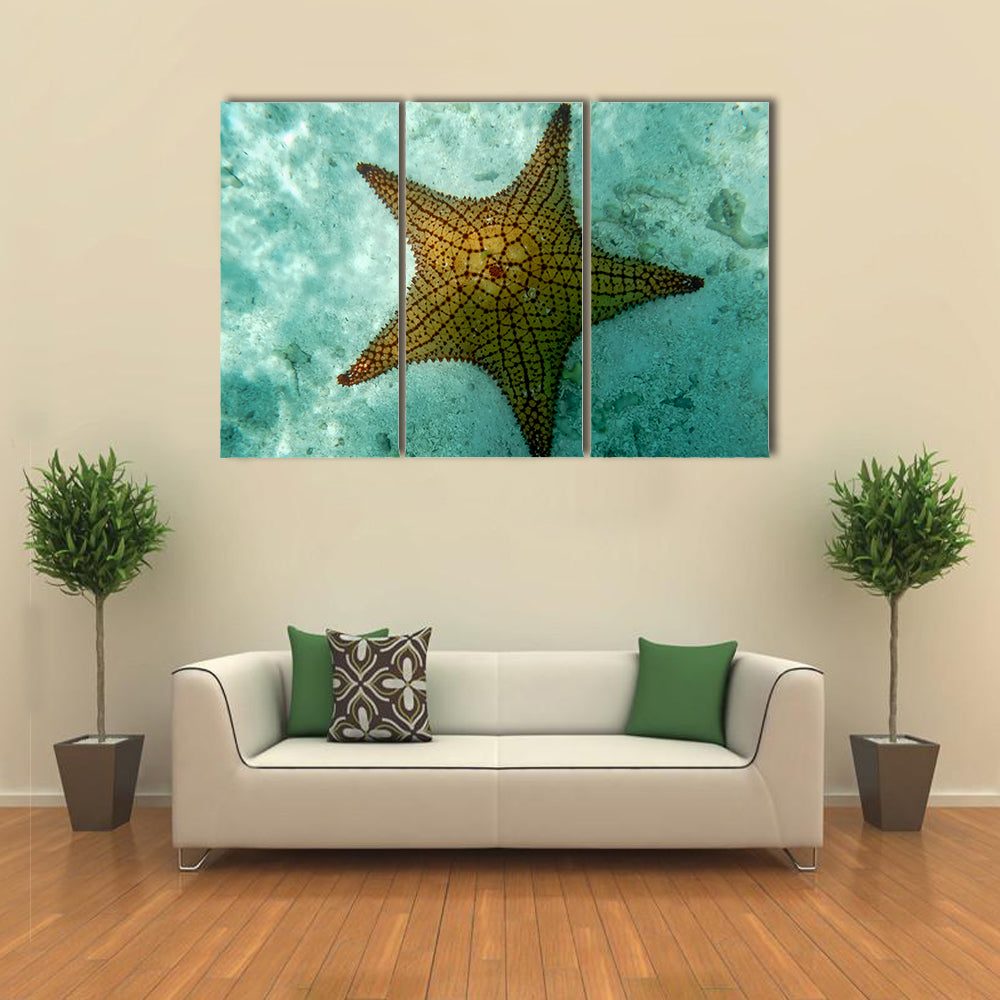 Snorkeling Art-An Isolated Big Starfish in Los Roques (Venezuela) Multi Panel Canvas Wall Art