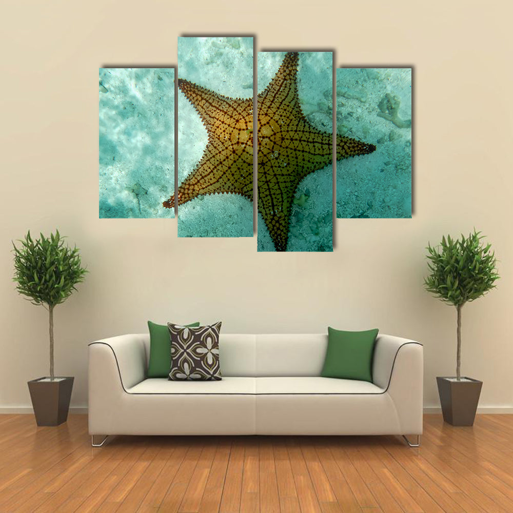 Snorkeling Art-An Isolated Big Starfish in Los Roques (Venezuela) Multi Panel Canvas Wall Art