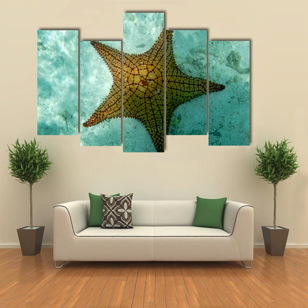 Snorkeling Art-An Isolated Big Starfish in Los Roques (Venezuela) Multi Panel Canvas Wall Art