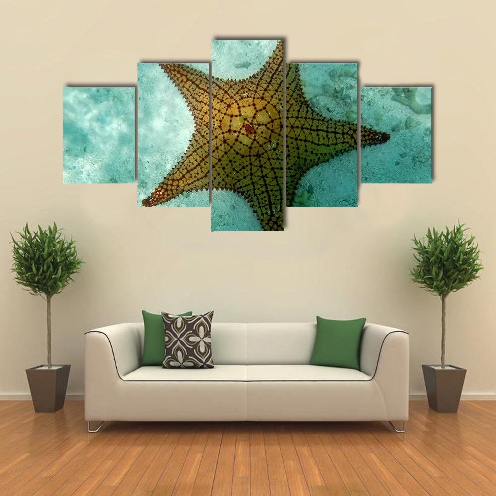 Snorkeling Art-An Isolated Big Starfish in Los Roques (Venezuela) Multi Panel Canvas Wall Art