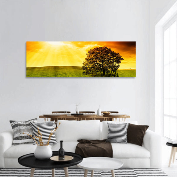 Lonely tree against a blue sky at sunset Panoramic Canvas Wall Art