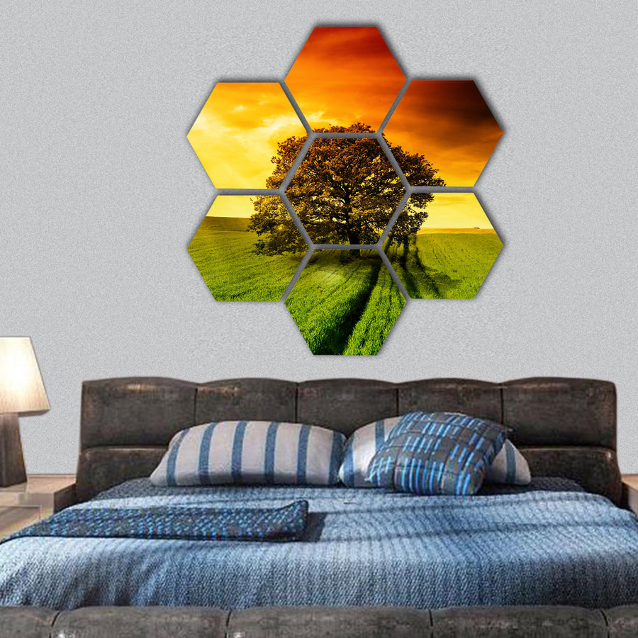Lonely tree against a blue sky at sunset hexagonal canvas wall art