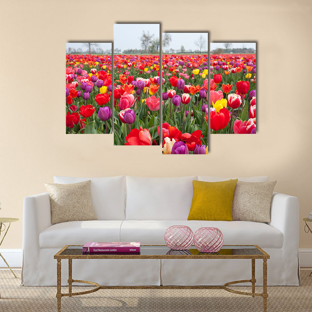 Many beautiful coloured tulips in the Netherlands Multi Panel Canvas Wall Art