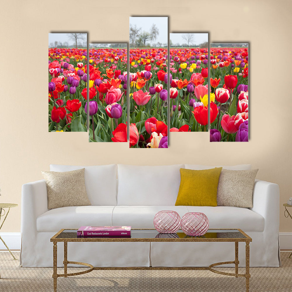 Many beautiful coloured tulips in the Netherlands Multi Panel Canvas Wall Art