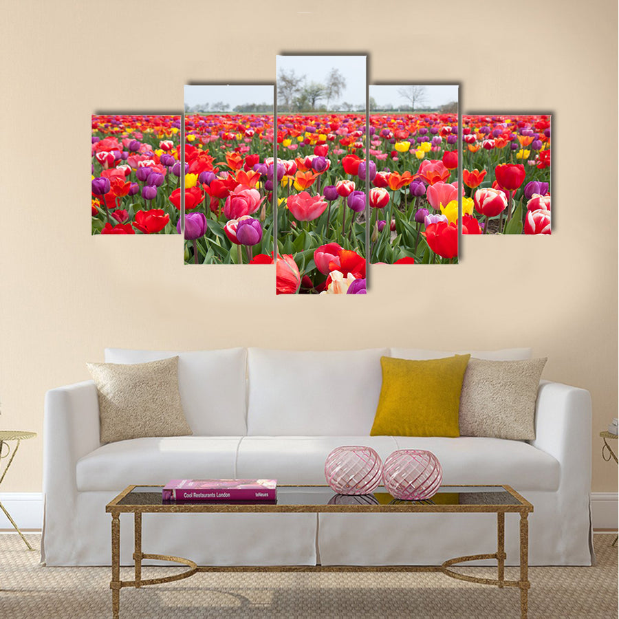 Many beautiful coloured tulips in the Netherlands Multi Panel Canvas Wall Art