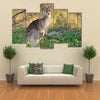 Kangaroo And Joey On The Beach In Bribie Island, Brisbane, QLD, Australia Multi Panel Canvas Wall Art