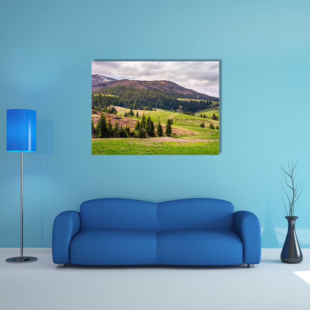 The forested hills of Borzhava mountain ridge multi panel canvas wall art