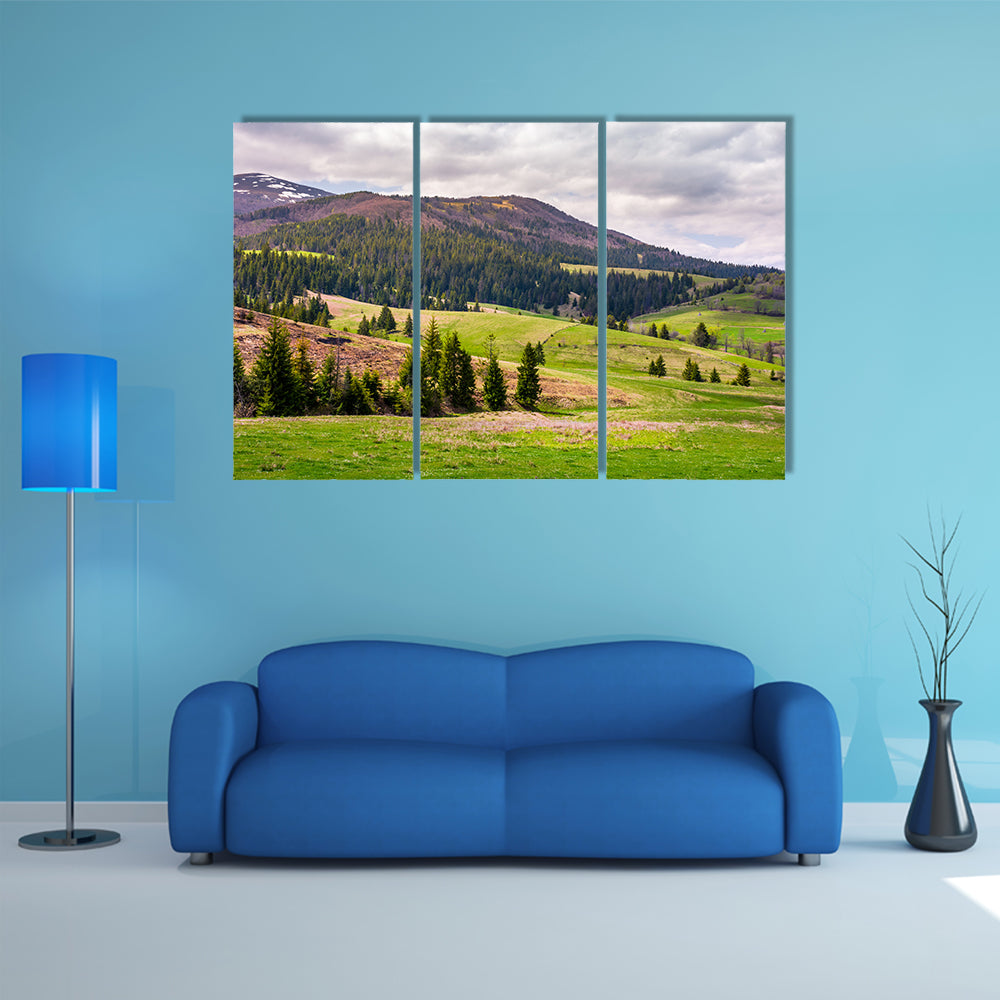 The forested hills of Borzhava mountain ridge multi panel canvas wall art