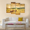 Field of freshly cut bales of hay with beautiful sunset Multi panel canvas wall art