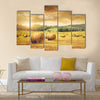 Field of freshly cut bales of hay with beautiful sunset Multi panel canvas wall art