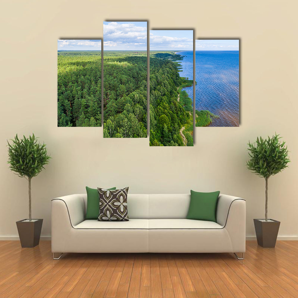 Aerial shot along the coast, Forest, Lake, Panorama multi panel canvas wall art