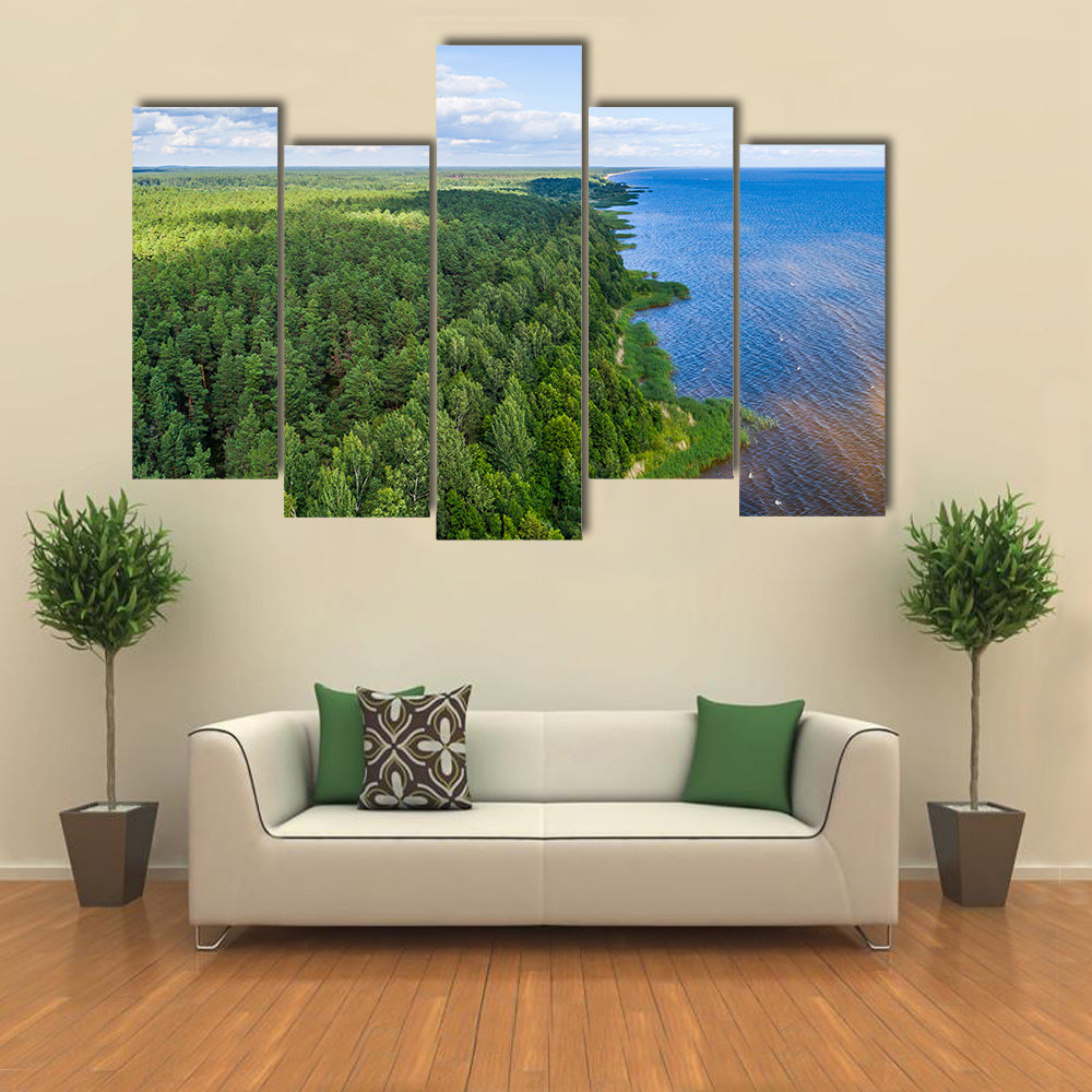Aerial shot along the coast, Forest, Lake, Panorama multi panel canvas wall art
