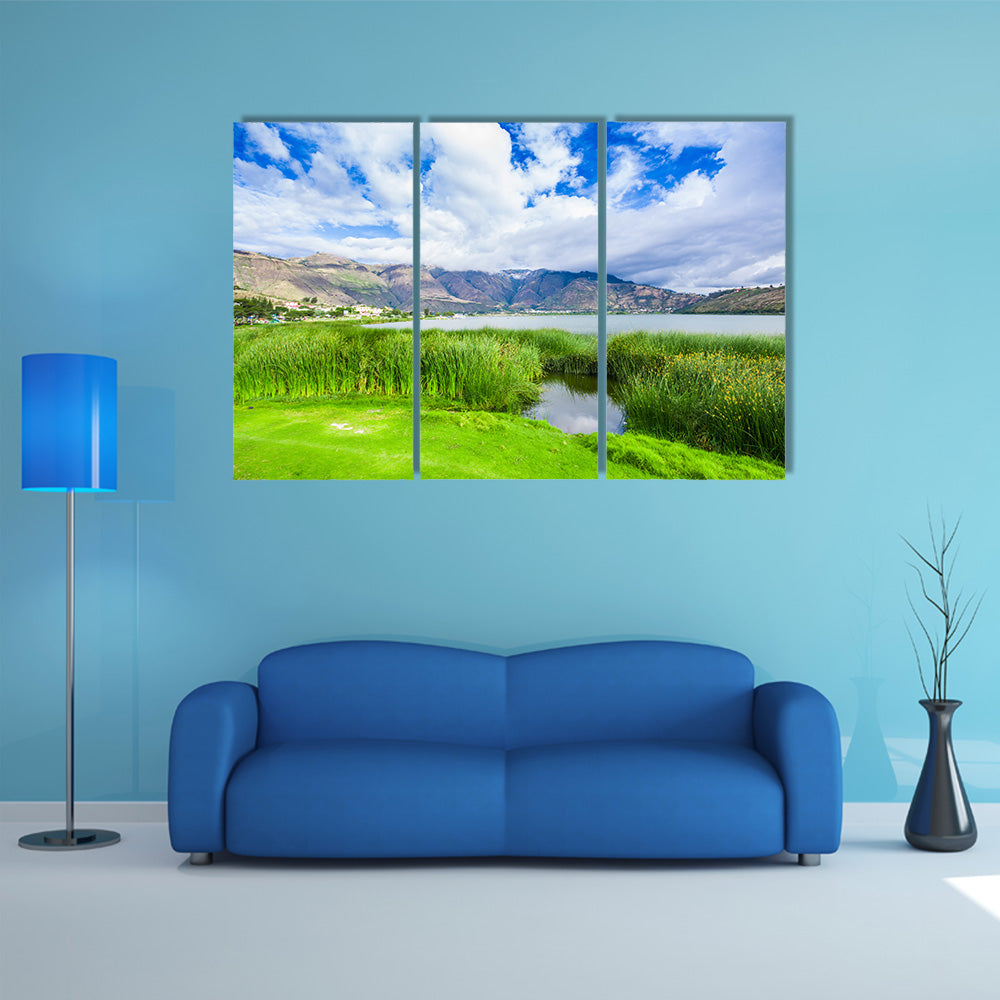 Beautiful view of some typical plants in the beautiful Yahuarcocha Lake, multi panel canvas wall art