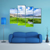 Beautiful view of some typical plants in the beautiful Yahuarcocha Lake, multi panel canvas wall art