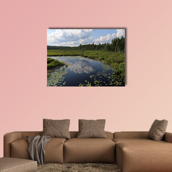 The Spruce Bog as seen from the Spruce Bog Boardwalk wall art