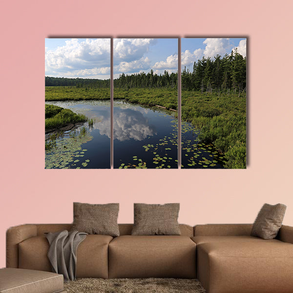 The Spruce Bog as seen from the Spruce Bog Boardwalk wall art