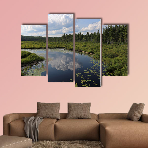 The Spruce Bog as seen from the Spruce Bog Boardwalk wall art