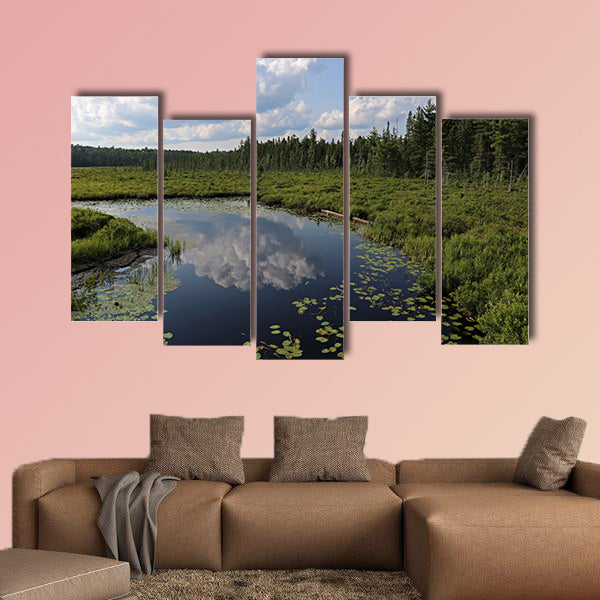 The Spruce Bog as seen from the Spruce Bog Boardwalk wall art