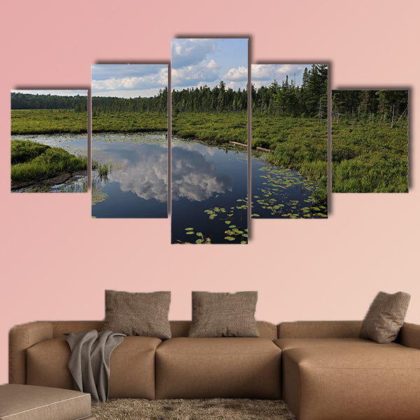 The Spruce Bog as seen from the Spruce Bog Boardwalk wall art