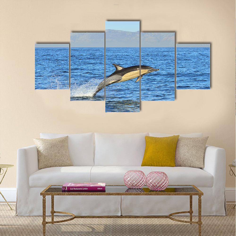 Dolphin, swimming in the ocean and hunting for fish multi panel canvas wall art