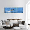 Dolphin, swimming in the Atlantic ocean Panoramic canvas Wall Art