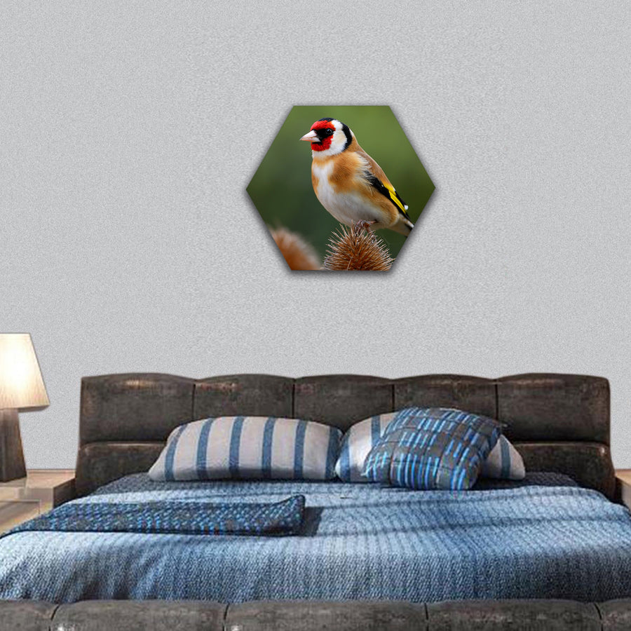 Goldfinch perches on teasel hexagonal canvas wall art