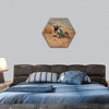 Motocross rider with a slope turns on sandy track , hexagonal canvas wall art