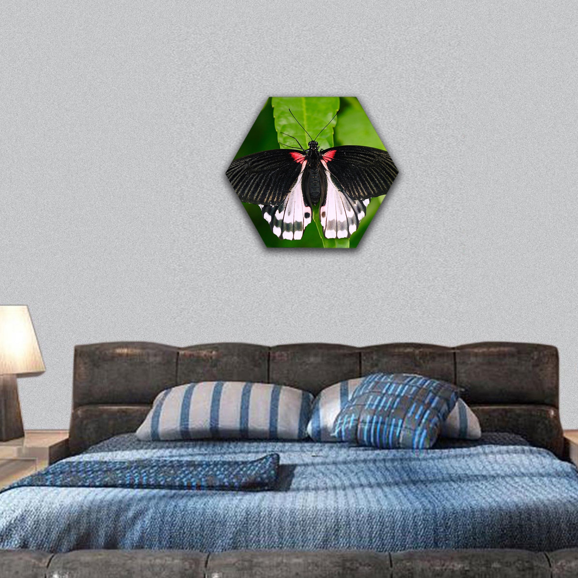 Beautiful butterfly from Borneo hexagonal canvas wall art