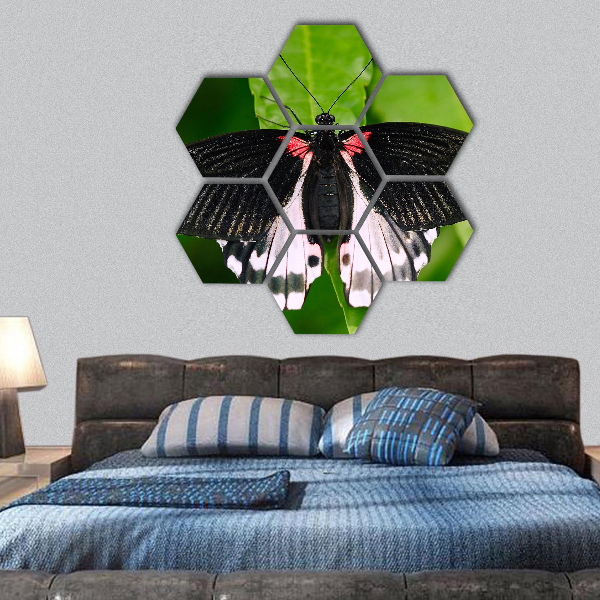 Beautiful butterfly from Borneo hexagonal canvas wall art