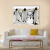 3 King Penguins in the Falkland Islands Multi Panel Canvas wall Art