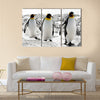 3 King Penguins in the Falkland Islands Multi Panel Canvas wall Art