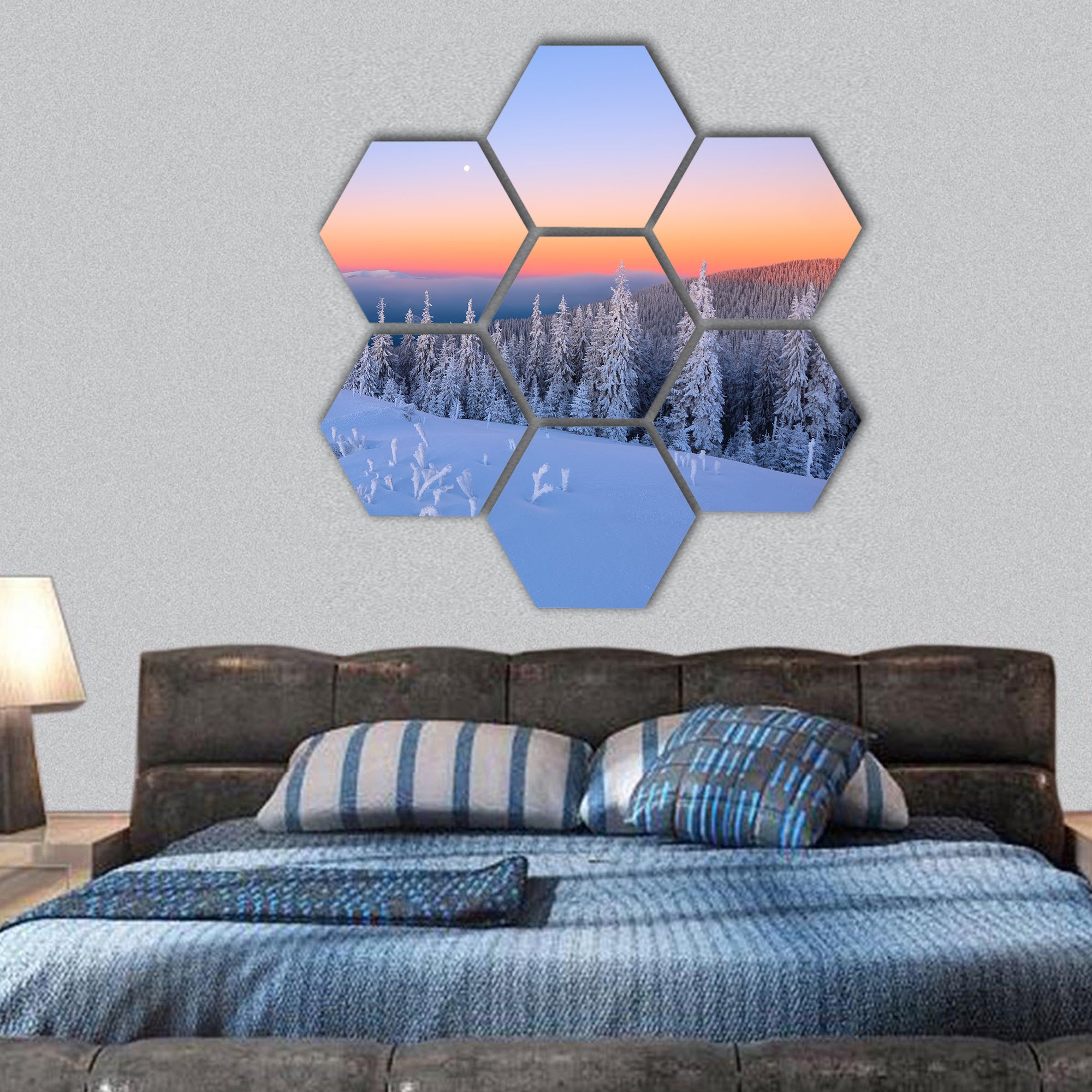 From the lawn, covered with snow hexagonal canvas wall art