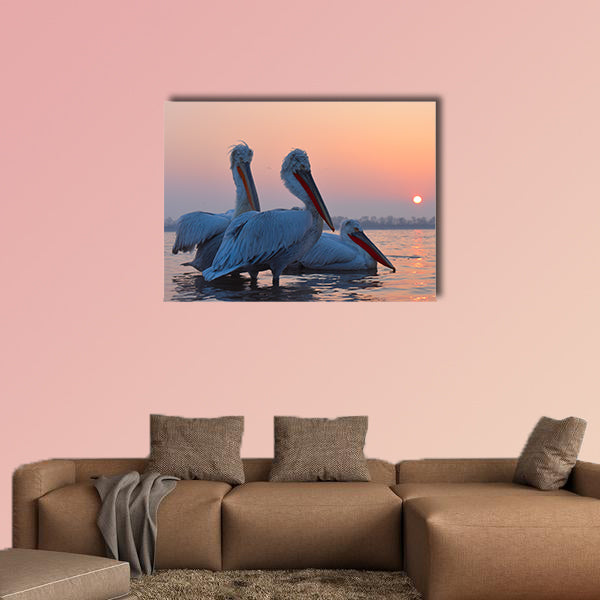 Dalmatian Pelicans (Pelecanus crispus) on Water multi panel canvas wall art