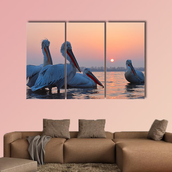 Dalmatian Pelicans (Pelecanus crispus) on Water multi panel canvas wall art