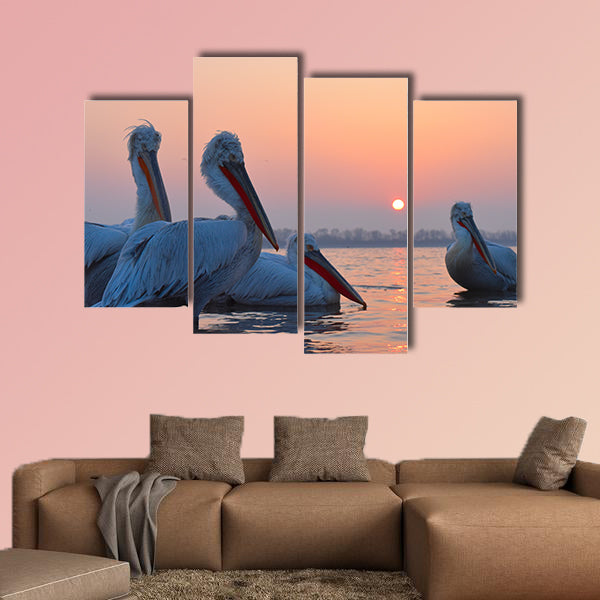 Dalmatian Pelicans (Pelecanus crispus) on Water multi panel canvas wall art