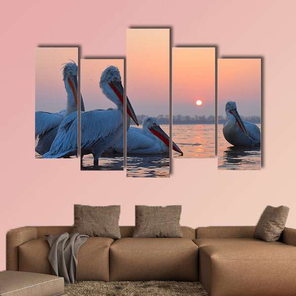 Dalmatian Pelicans (Pelecanus crispus) on Water multi panel canvas wall art