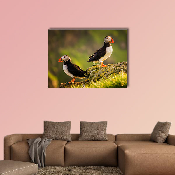 Two puffins on island in sunset light, Faroe Islands Multi panel canvas wall art