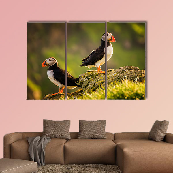 Two puffins on island in sunset light, Faroe Islands Multi panel canvas wall art