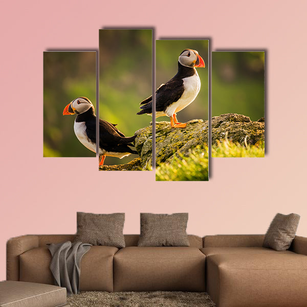 Two puffins on island in sunset light, Faroe Islands Multi panel canvas wall art