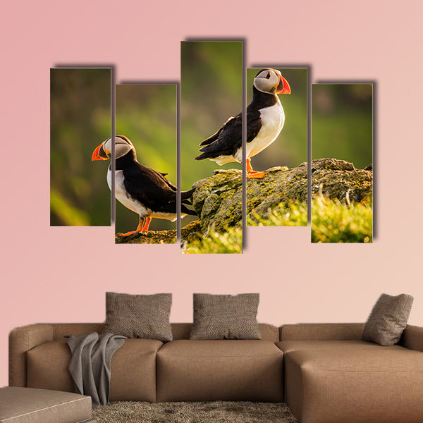 Two puffins on island in sunset light, Faroe Islands Multi panel canvas wall art