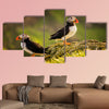 Two puffins on island in sunset light, Faroe Islands Multi panel canvas wall art