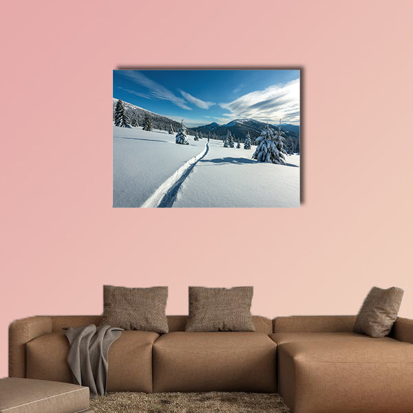 Fantastic winter landscape with snowy trees, Carpathians, Ukraine, Europe