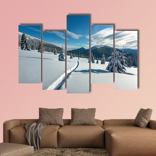 Fantastic winter landscape with snowy trees, Carpathians, Ukraine, Europe