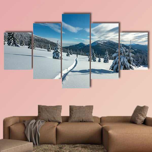 Fantastic winter landscape with snowy trees, Carpathians, Ukraine, Europe