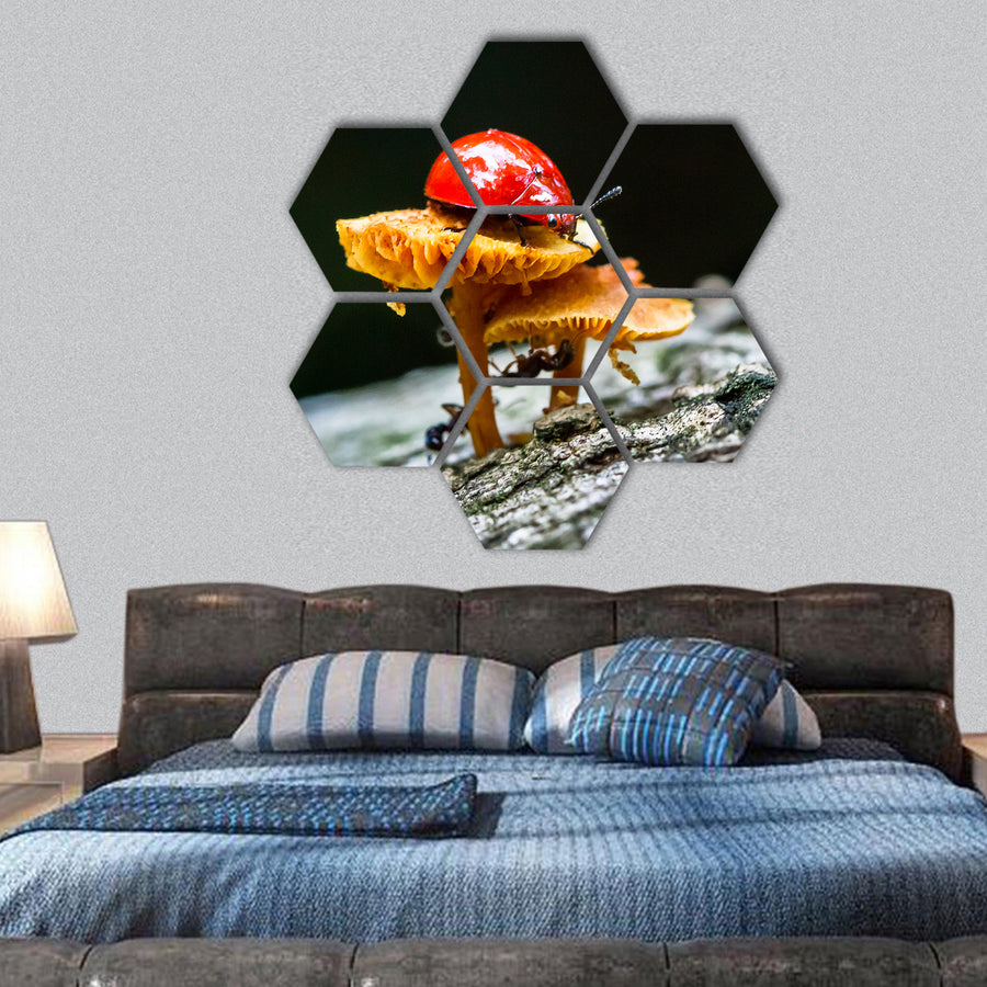 A ladybug sits on a mushroom in the dark jungle hexagonal canvas wall art